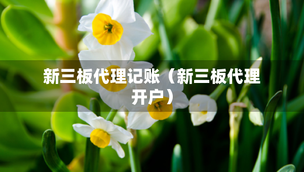 新三板代理記賬（新三板代理開戶）