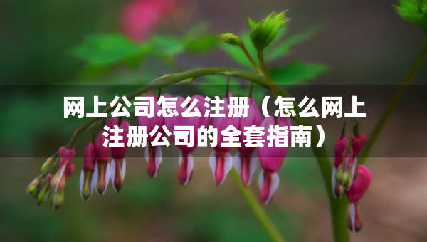 網(wǎng)上公司怎么注冊（怎么網(wǎng)上注冊公司的全套指南）