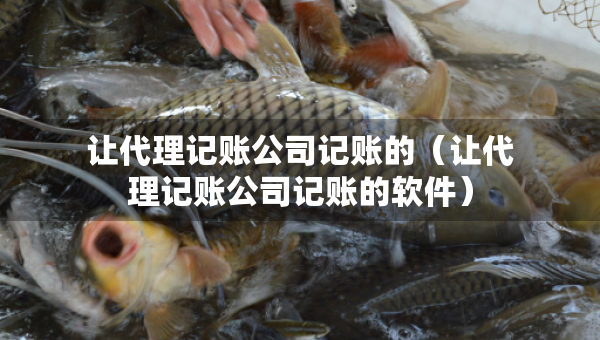 讓代理記賬公司記賬的（讓代理記賬公司記賬的軟件）