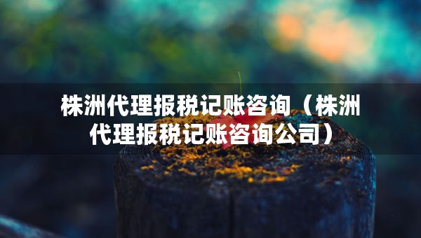株洲代理報稅記賬咨詢（株洲代理報稅記賬咨詢公司）