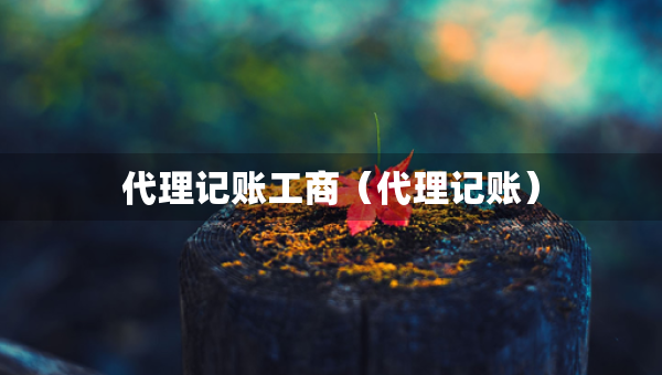 代理記賬工商（代理記賬）