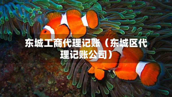 東城工商代理記賬（東城區(qū)代理記賬公司）