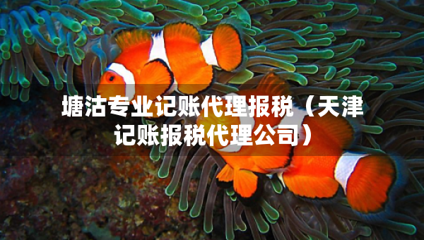 塘沽專業(yè)記賬代理報稅（天津記賬報稅代理公司）