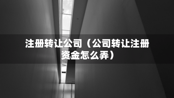 注冊(cè)轉(zhuǎn)讓公司（公司轉(zhuǎn)讓注冊(cè)資金怎么弄）