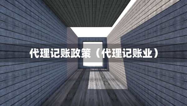 代理記賬政策（代理記賬業(yè)）