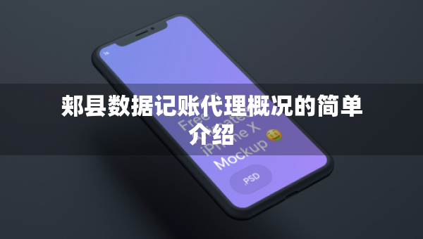 郟縣數(shù)據(jù)記賬代理概況的簡單介紹