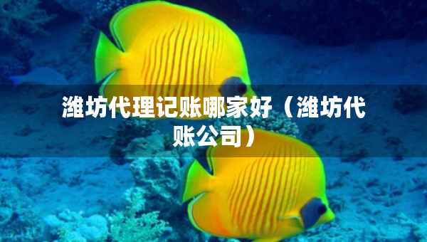 濰坊代理記賬哪家好（濰坊代賬公司）