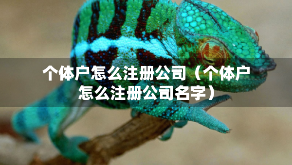 個(gè)體戶怎么注冊(cè)公司（個(gè)體戶怎么注冊(cè)公司名字）