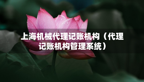 上海機械代理記賬機構（代理記賬機構管理系統(tǒng)）