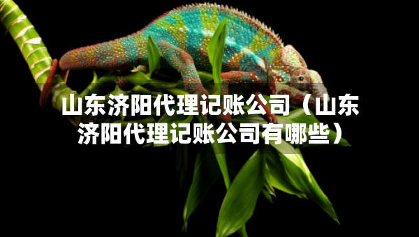山東濟(jì)陽(yáng)代理記賬公司（山東濟(jì)陽(yáng)代理記賬公司有哪些）