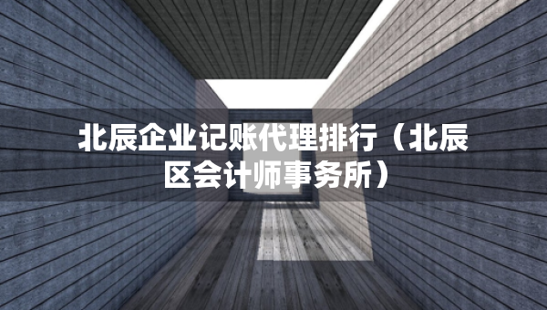 北辰企業(yè)記賬代理排行（北辰區(qū)會(huì)計(jì)師事務(wù)所）