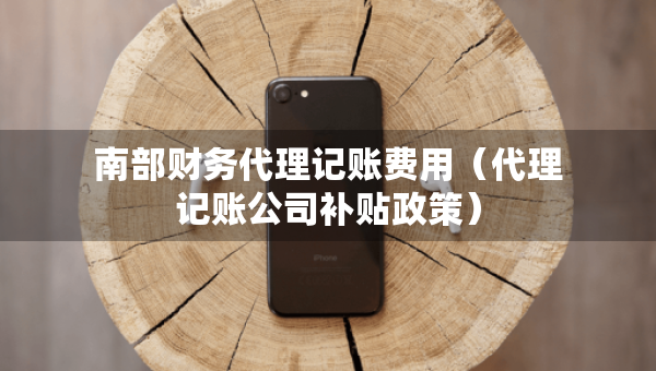 南部財(cái)務(wù)代理記賬費(fèi)用（代理記賬公司補(bǔ)貼政策）