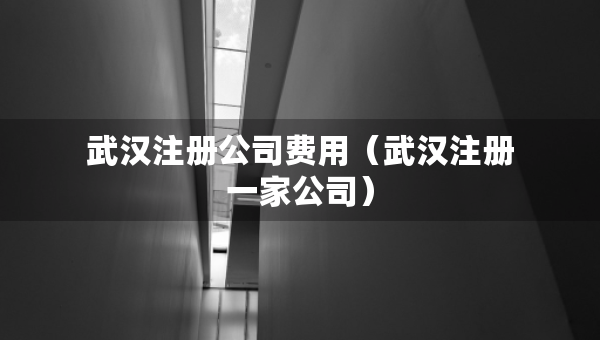 武漢注冊公司費用（武漢注冊一家公司）