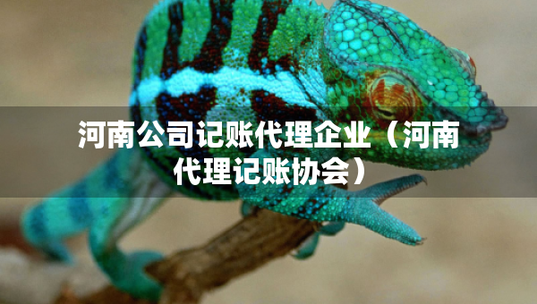 河南公司記賬代理企業(yè)（河南代理記賬協(xié)會）