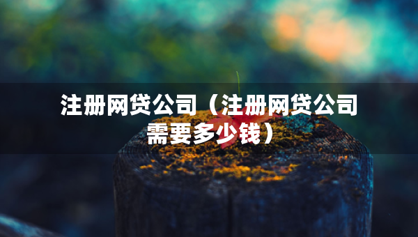 注冊網貸公司（注冊網貸公司需要多少錢）
