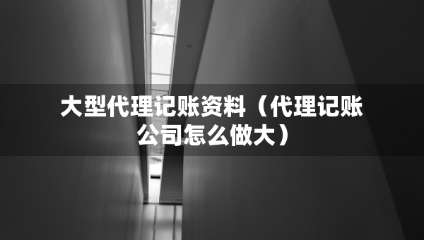 大型代理記賬資料（代理記賬公司怎么做大）