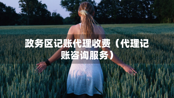 政務(wù)區(qū)記賬代理收費(fèi)（代理記賬咨詢服務(wù)）