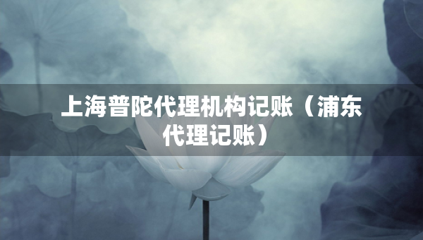 上海普陀代理機(jī)構(gòu)記賬（浦東 代理記賬）