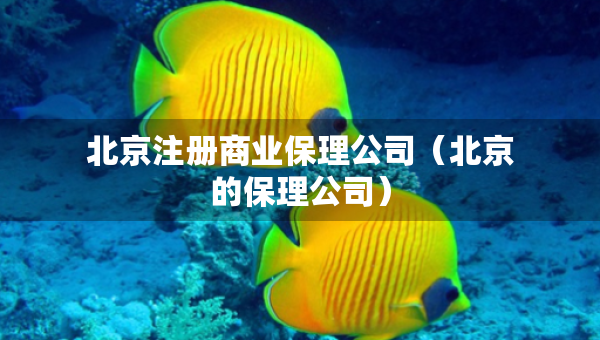 北京注冊商業(yè)保理公司（北京的保理公司）