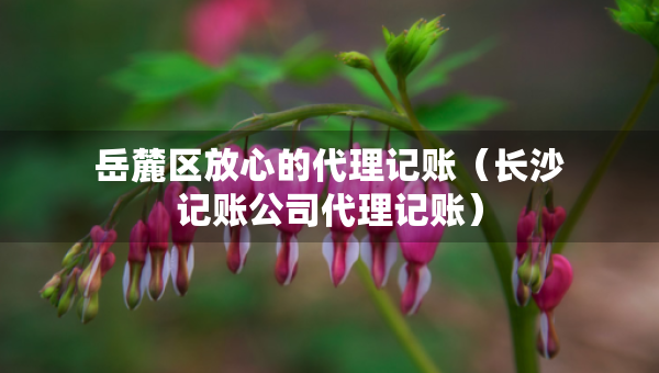 岳麓區(qū)放心的代理記賬（長(zhǎng)沙記賬公司代理記賬）