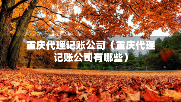 重慶代理記賬公司（重慶代理記賬公司有哪些）