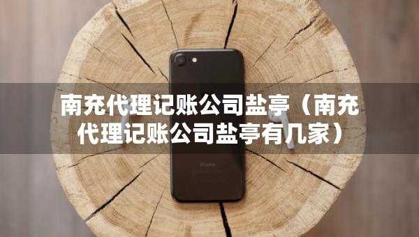 南充代理記賬公司鹽亭（南充代理記賬公司鹽亭有幾家）