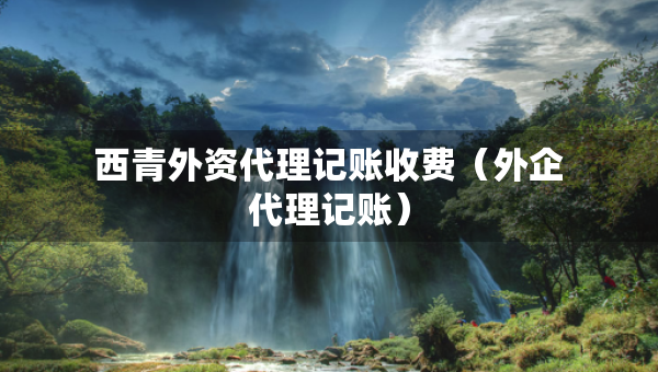 西青外資代理記賬收費(fèi)（外企代理記賬）