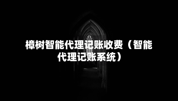 樟樹智能代理記賬收費（智能代理記賬系統(tǒng)）