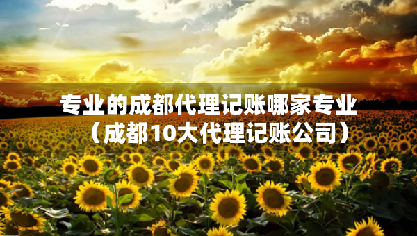 專(zhuān)業(yè)的成都代理記賬哪家專(zhuān)業(yè)（成都10大代理記賬公司）