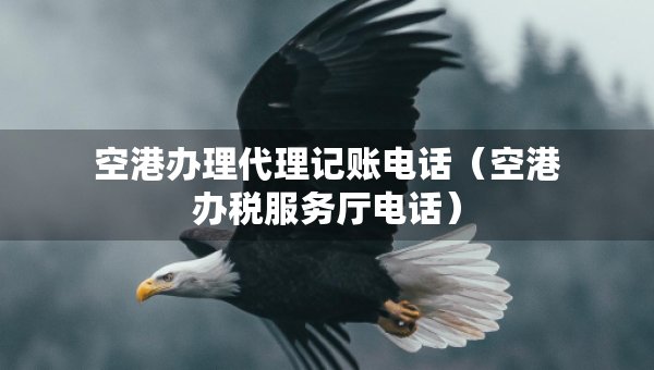 空港辦理代理記賬電話（空港辦稅服務(wù)廳電話）