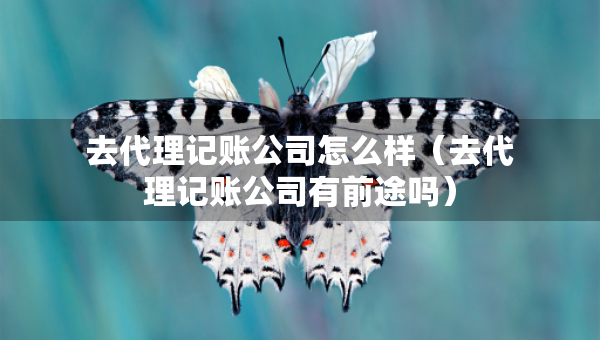 去代理記賬公司怎么樣（去代理記賬公司有前途嗎）
