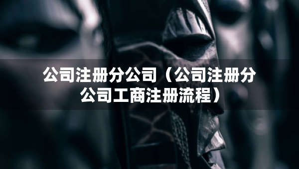 公司注冊分公司（公司注冊分公司工商注冊流程）