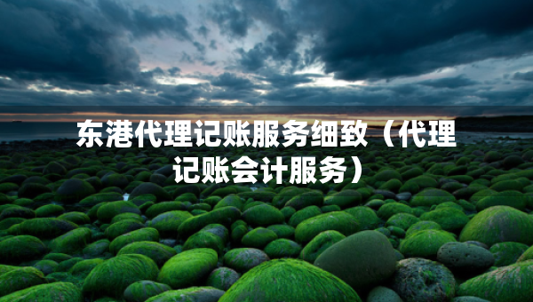 東港代理記賬服務(wù)細(xì)致（代理記賬會(huì)計(jì)服務(wù)）