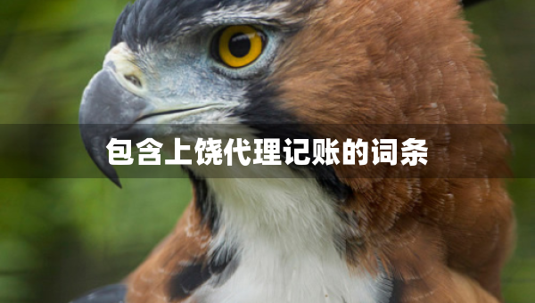 包含上饒代理記賬的詞條