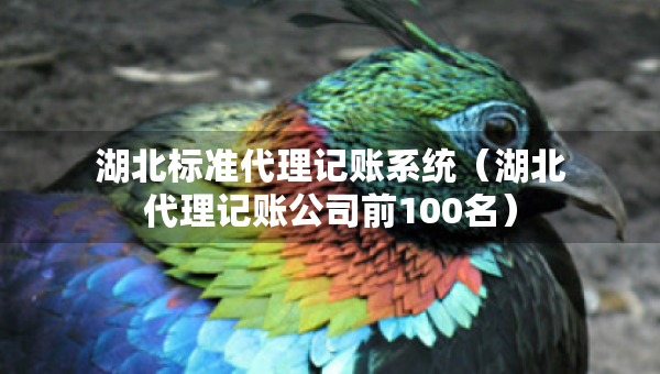 湖北標(biāo)準(zhǔn)代理記賬系統(tǒng)（湖北代理記賬公司前100名）