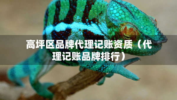高坪區(qū)品牌代理記賬資質(zhì)（代理記賬品牌排行）