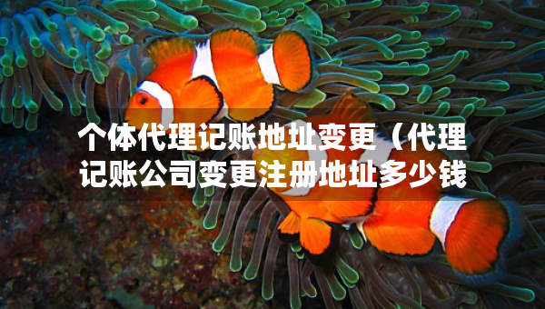 個體代理記賬地址變更（代理記賬公司變更注冊地址多少錢）