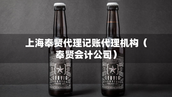 上海奉賢代理記賬代理機構(gòu)（奉賢會計公司）