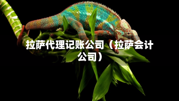 拉薩代理記賬公司（拉薩會計公司）