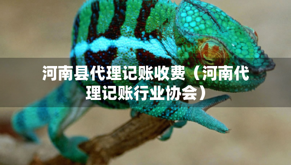 河南縣代理記賬收費（河南代理記賬行業(yè)協(xié)會）
