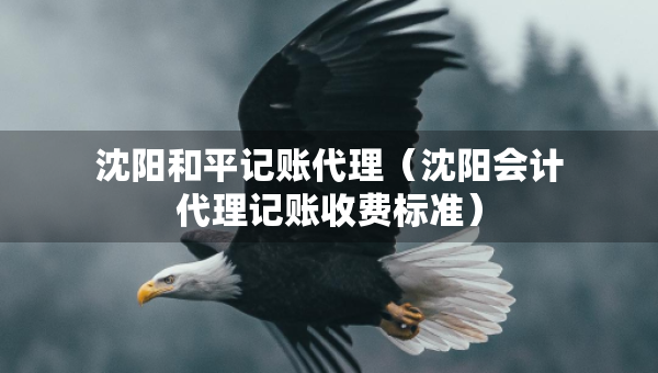 沈陽和平記賬代理（沈陽會計代理記賬收費標(biāo)準(zhǔn)）
