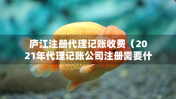 廬江注冊(cè)代理記賬收費(fèi)（2021年代理記賬公司注冊(cè)需要什么條件）