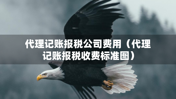代理記賬報稅公司費用（代理記賬報稅收費標準圖）