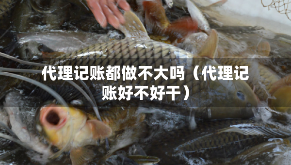 代理記賬都做不大嗎（代理記賬好不好干）