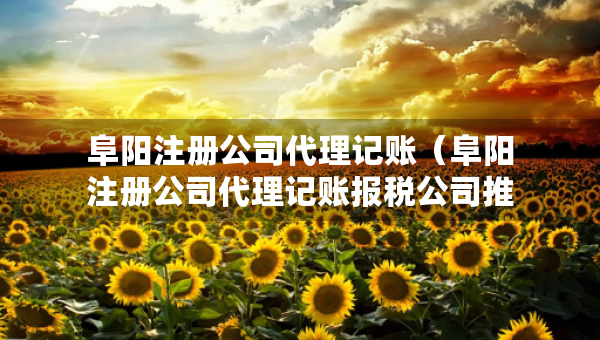 阜陽(yáng)注冊(cè)公司代理記賬（阜陽(yáng)注冊(cè)公司代理記賬報(bào)稅公司推薦）