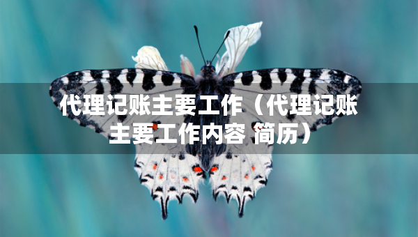 代理記賬主要工作（代理記賬主要工作內(nèi)容 簡(jiǎn)歷）