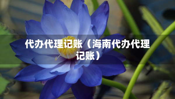 代辦代理記賬（海南代辦代理記賬）