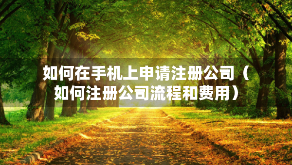 如何在手機(jī)上申請(qǐng)注冊(cè)公司（如何注冊(cè)公司流程和費(fèi)用）