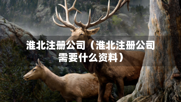 淮北注冊公司（淮北注冊公司需要什么資料）