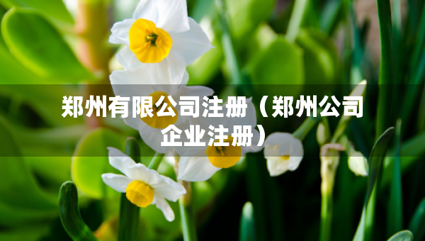 鄭州有限公司注冊(cè)（鄭州公司企業(yè)注冊(cè)）